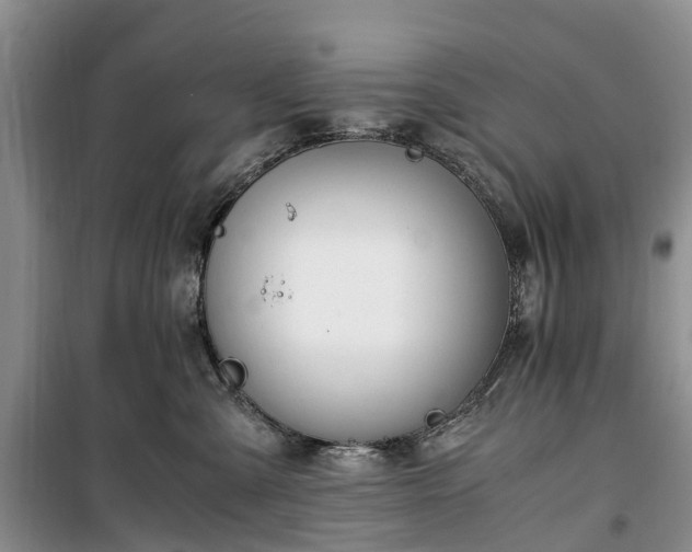 X0000100380427200806131104