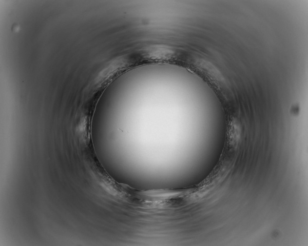 X0000100380428200806131104
