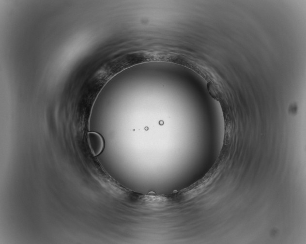 X0000100380429200806131104
