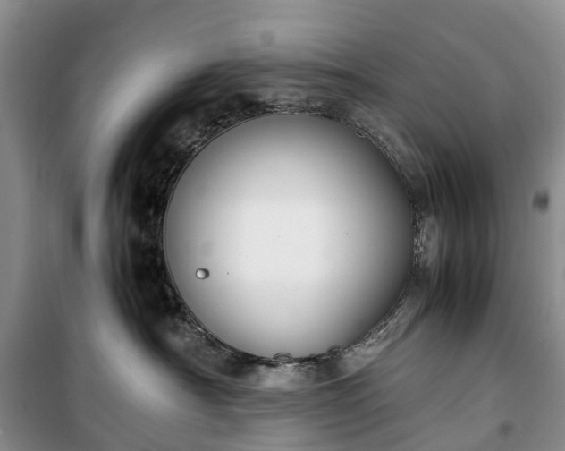 X0000100380430200806131104