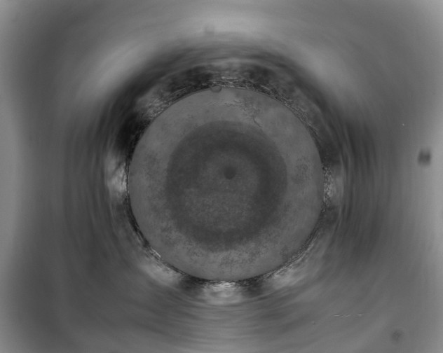 X0000100380431200806131104