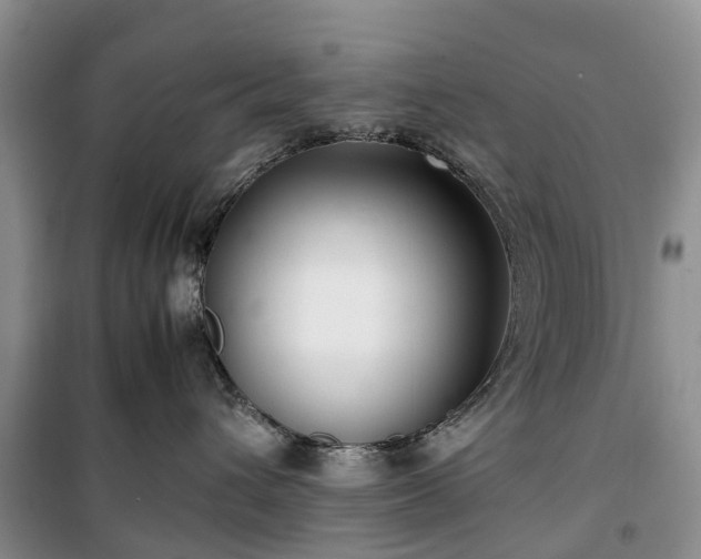 X0000100380432200806131104
