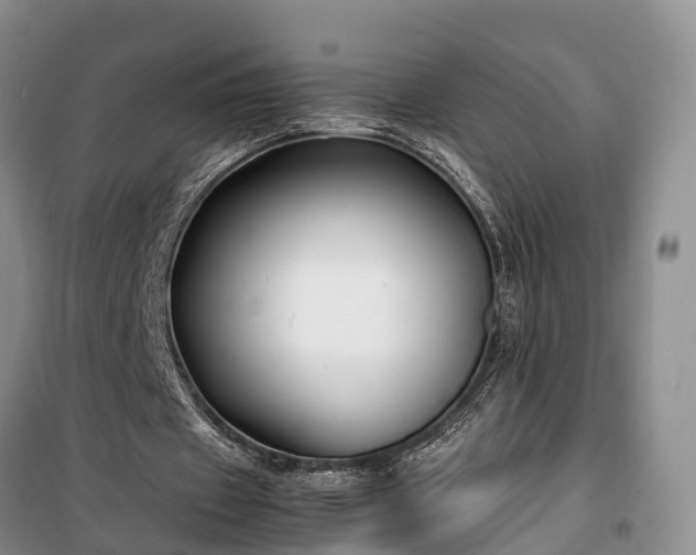 X0000100380433200806131103