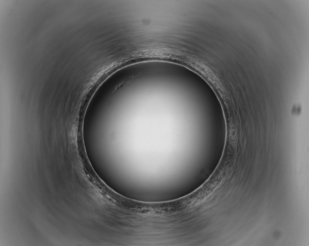 X0000100380434200806131103