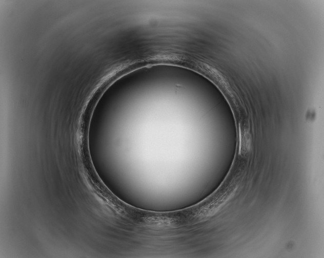 X0000100380435200806131103