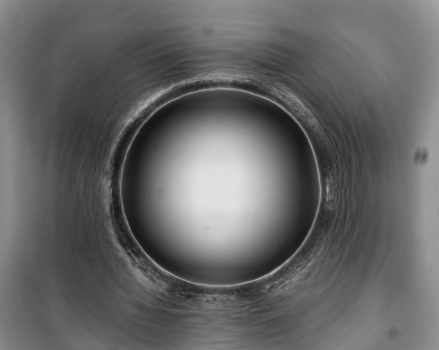X0000100380436200806131103