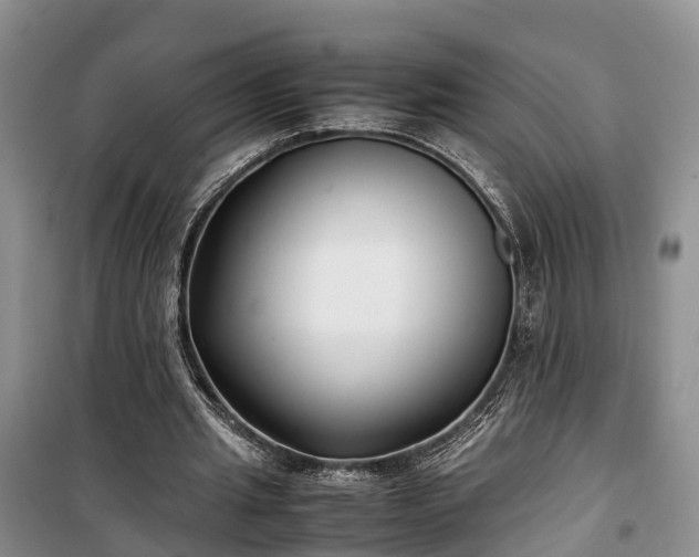 X0000100380437200806131103