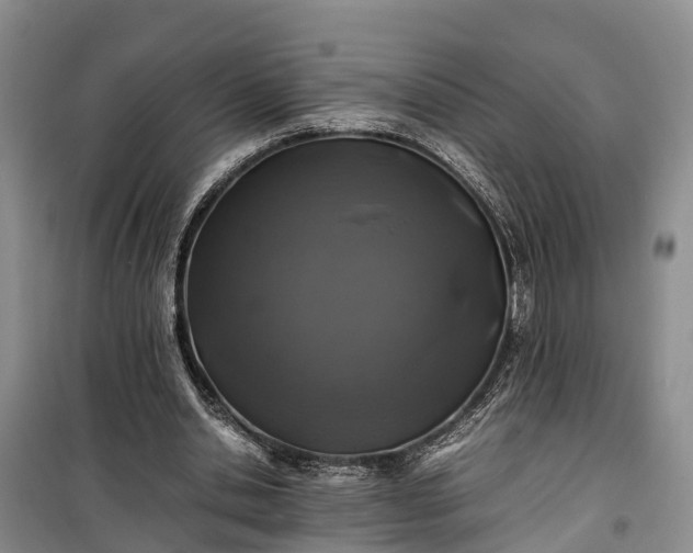 X0000100380438200806131103