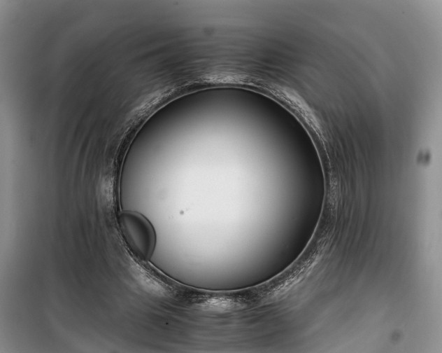 X0000100380441200806131103