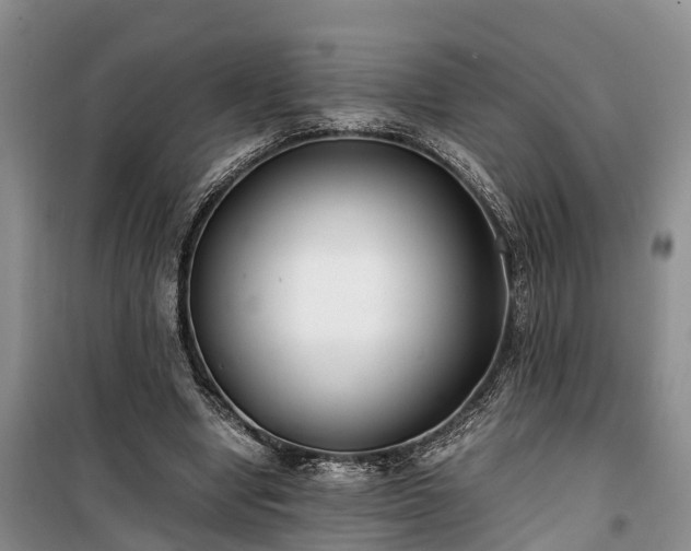 X0000100380442200806131103