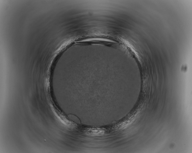 X0000100380443200806131103