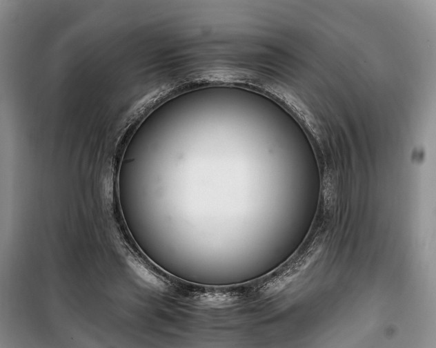 X0000100380445200806131103
