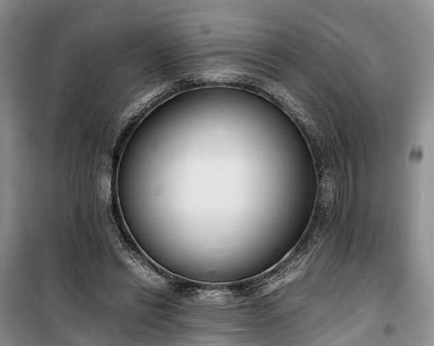 X0000100380446200806131103