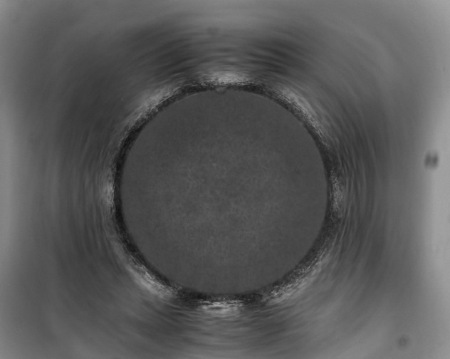 X0000100380447200806131103