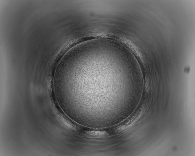 X0000100380449200806131103