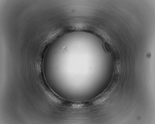 X0000100380450200806131103