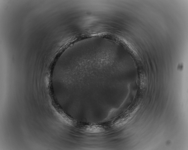 X0000100380451200806131103