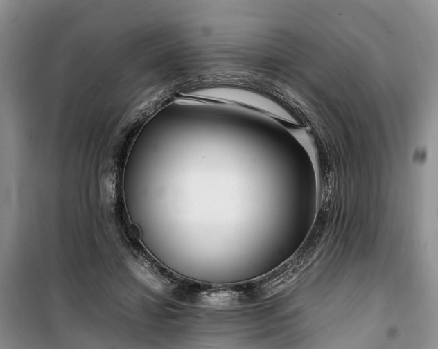 X0000100380452200806131103