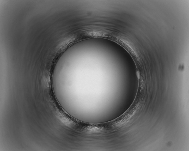 X0000100380453200806131103