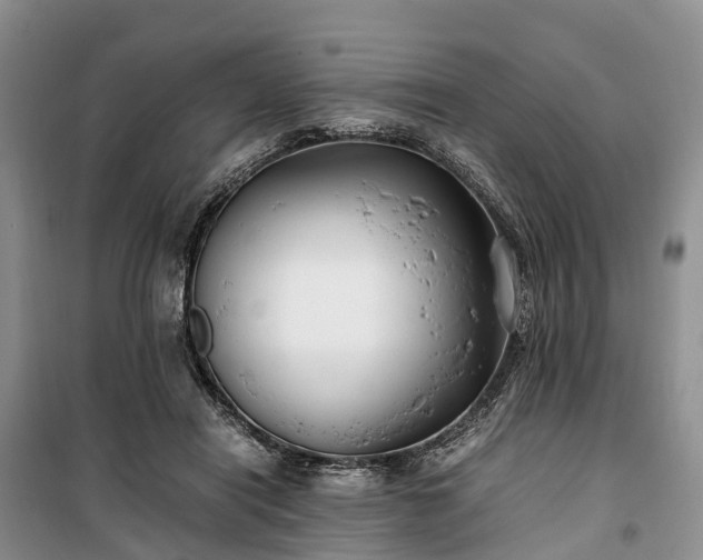 X0000100380454200806131103