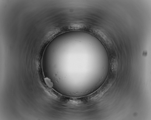 X0000100380455200806131103