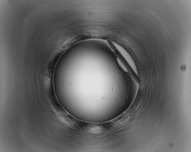 X0000100380456200806131103