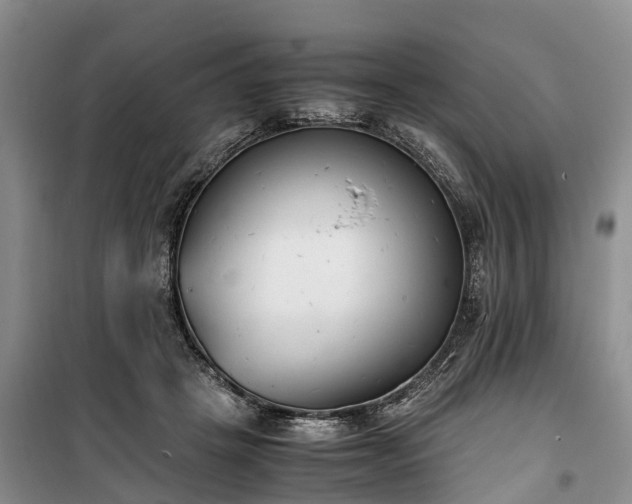 X0000100380457200806131103