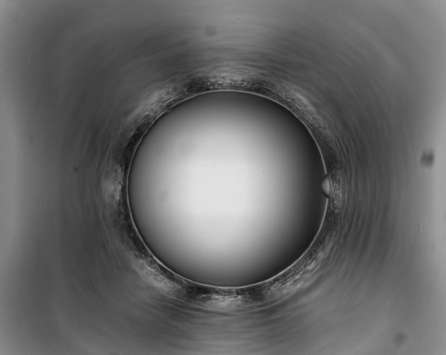 X0000100380458200806131103