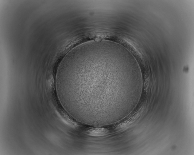 X0000100380459200806131103