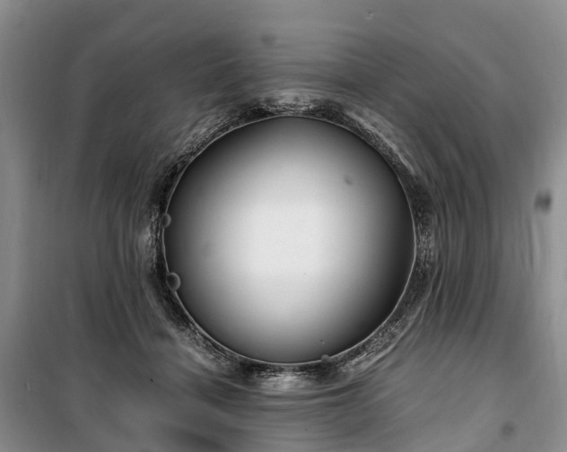 X0000100380460200806131103