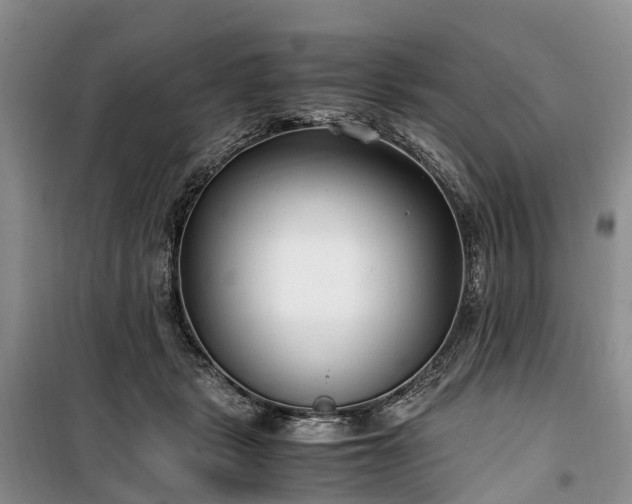 X0000100380461200806131103
