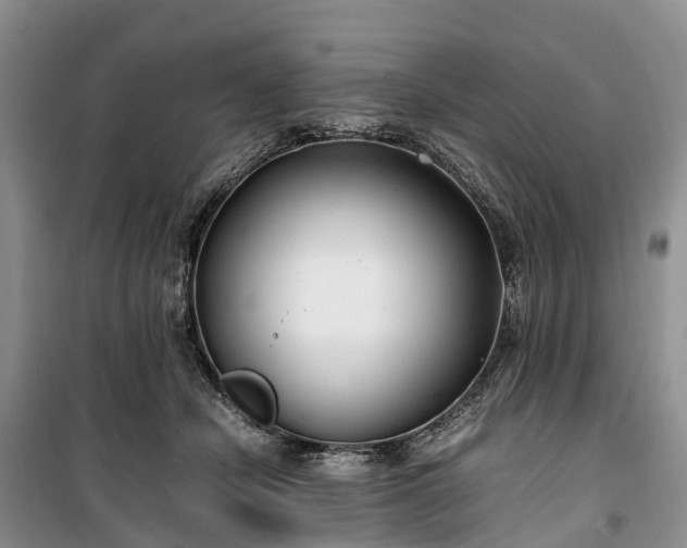 X0000100380462200806131103