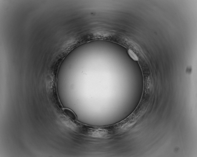 X0000100380463200806131103