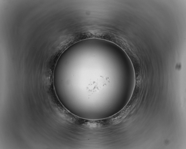 X0000100380464200806131103
