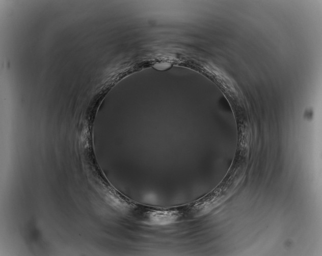 X0000100380465200806131103