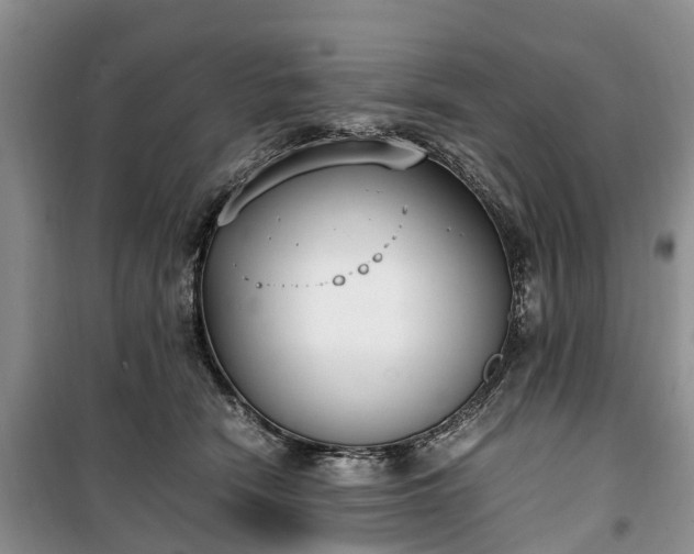 X0000100380466200806131104
