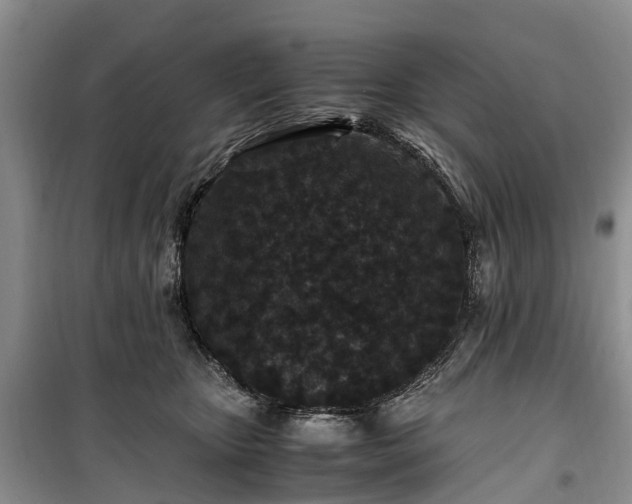 X0000100380467200806131104