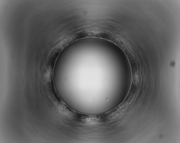 X0000100380468200806131104