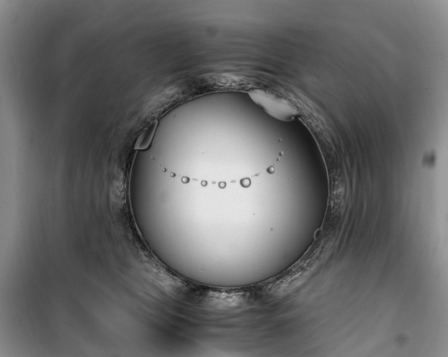 X0000100380469200806131104
