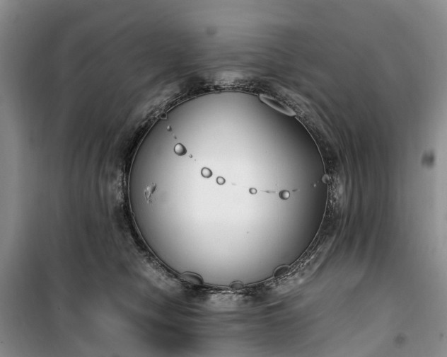 X0000100380470200806131104