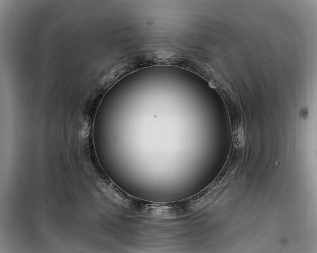 X0000100380472200806131104