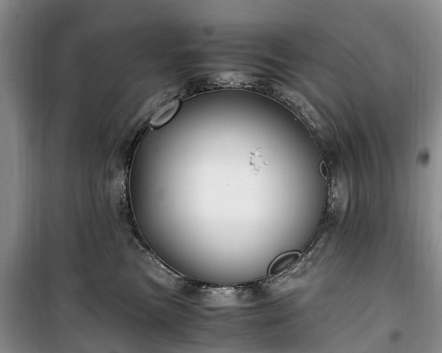 X0000100380473200806131104