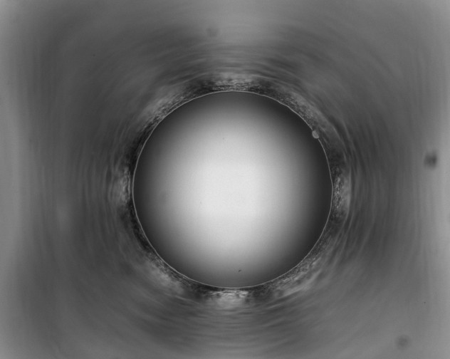 X0000100380474200806131104