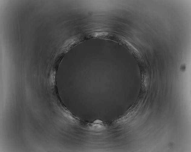 X0000100380475200806131104