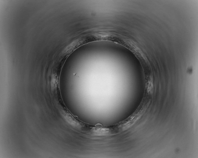 X0000100380476200806131104