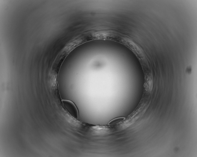 X0000100380477200806131104