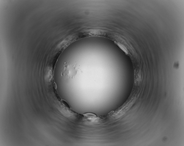 X0000100380478200806131104