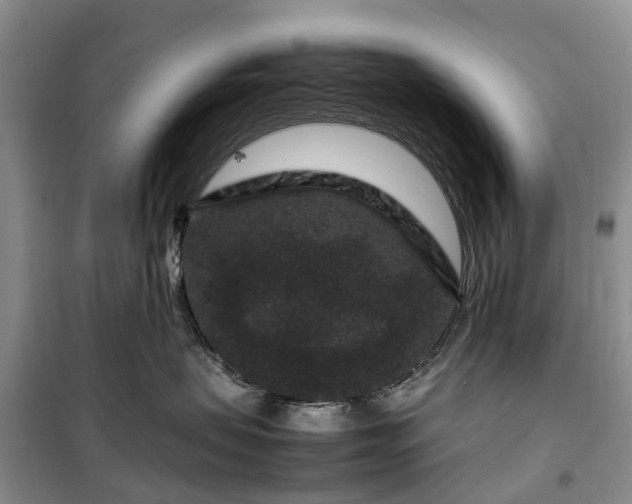X0000100380479200806131104