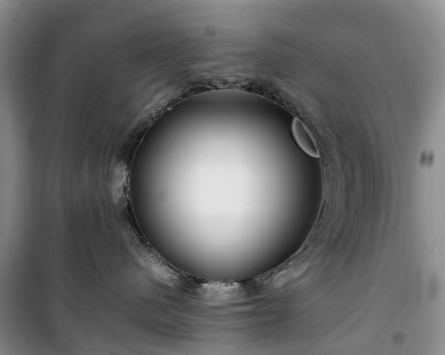 X0000100380480200806131104
