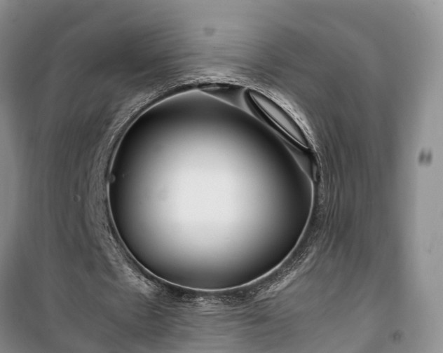 X0000100380481200806131103
